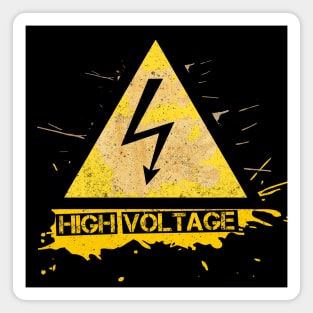 High Voltage Magnet